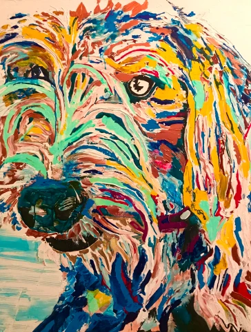 Pet Portraits